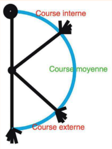 Course articulaire du coude, divisée en 3 secteurs. La course moyenne étant l’amplitude de confort articulaire